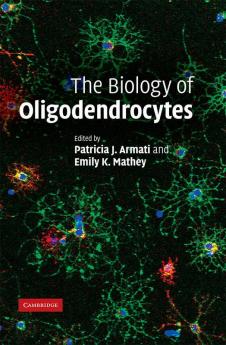 The Biology of Oligodendrocytes
