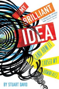 My Brilliant Idea (and How It Caused My Downfall)