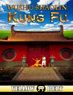 Wushu Shaolin Kung Fu