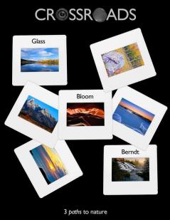 Crossroads - 3 paths to Nature