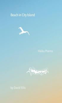 Beach in City Island