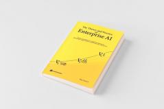 The Theory and Practice of Enterprise AI