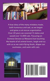 Rescue Meez: My Journey Through Siamese Rescue