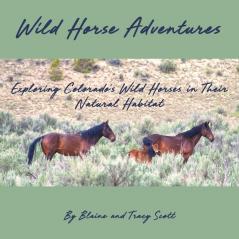 Wild Horse Adventures