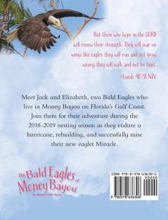 The Bald Eagles of Money Bayou: An Almost True Story