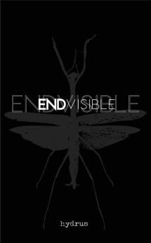 Endvisible