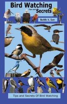 Bird Watching Tips and Secrets