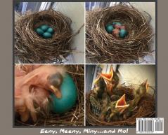 Eeny Meeny Miny... and Mo!