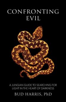 Confronting Evil: A Jungian Guide to Searching for Light In the Heart of Darkness