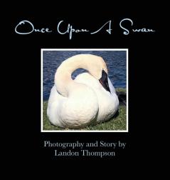 Once Upon A Swan