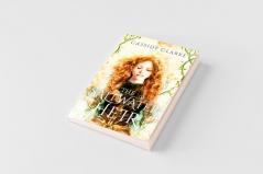 The Saltwater Heir