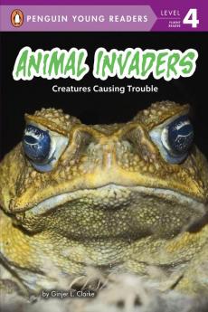 Animal Invaders