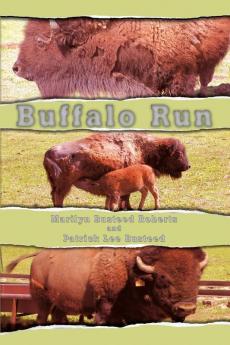 Buffalo Run