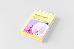 Electromagnetic Fields