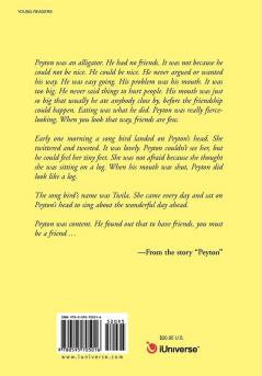 A Story Book for Beginning Readers