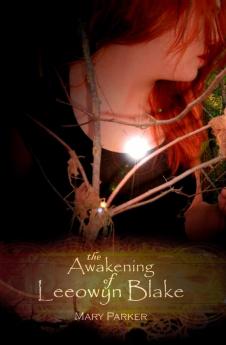 The Awakening of Leeowyn Blake: The Kahl'Nar Saga - Book 1