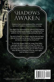 Shadows Awaken The Last Dragon Skin Chronicles Book 3