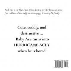 The Case of the Bored Baby Ace: Book Two in the Sleep Sweet Series: 2