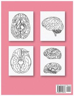Neuroanatomy Human Brain Coloring Book