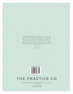 The Practice Co - Volume Three