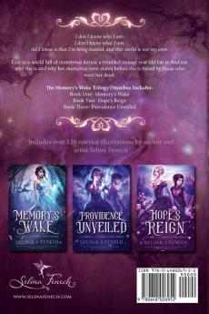 Memory's Wake Omnibus: The Complete Illustrated YA Fantasy Series: 4