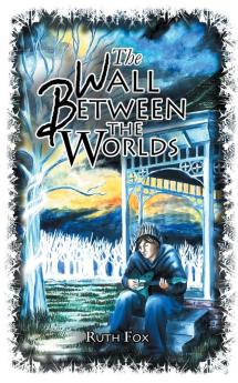 The Wall Between the Worlds: 3 (The Bridges Trilogy)