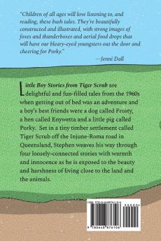 Little Boy Stories From Tiger Scrub