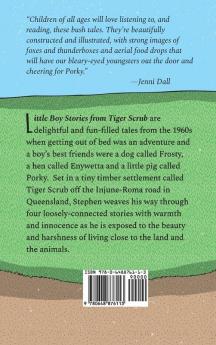 Little Boy Stories From Tiger Scrub