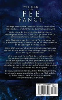 Wie Man Eine Fee Fängt: Fantasy Romantik: 1 (Winterdornen)