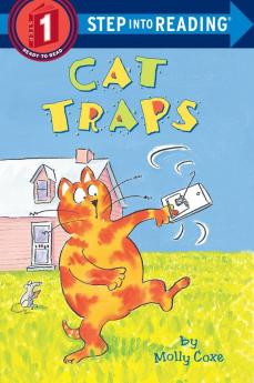 Cat Traps