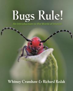 Bugs Rule!