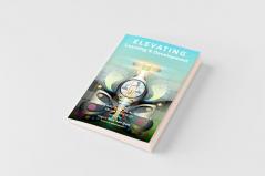 Elevating Learning & Development (paperback)