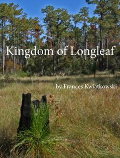 Kingdom of Longleaf