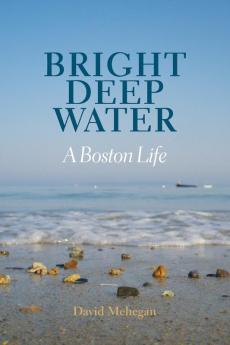 Bright Deep Water: A Boston Life