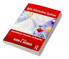 Agile Information Systems