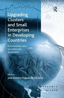 Upgrading Clusters and Small Enterprises in Developing Countries