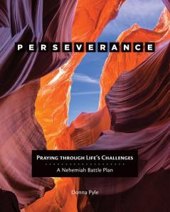 Perseverance