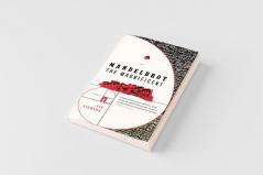 MANDELBROT THE MAGNIFICENT