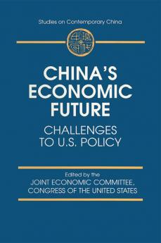 China's Economic Future
