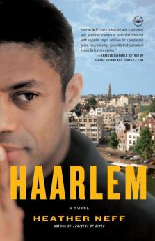 Haarlem: A Novel