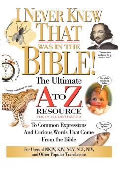 The I Never Knew That Was in the Bible