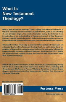 What Is New Testament Theology?