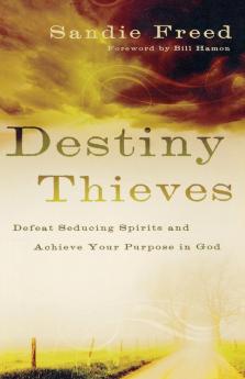 Destiny Thieves