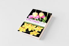 Orchids of Tropical America