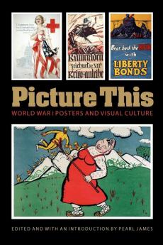 Picture This: World War I Posters and Visual Culture (Studies in War Society and the Military)