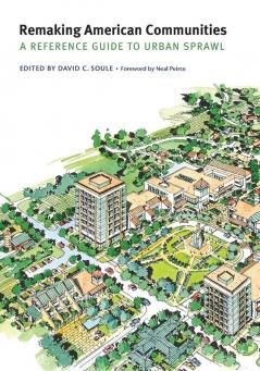 Remaking American Communities