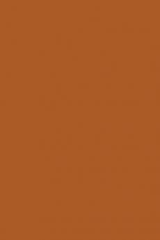 From Vision to Practice