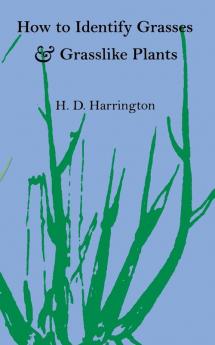 How to Identify Grasses and Grasslike Plants