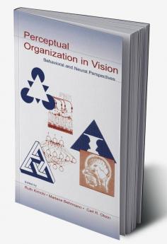 Perceptual Organization in Vision