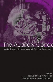 Auditory Cortex